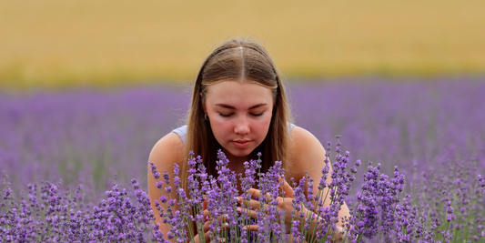 Why do smells reconnect us with our memories?