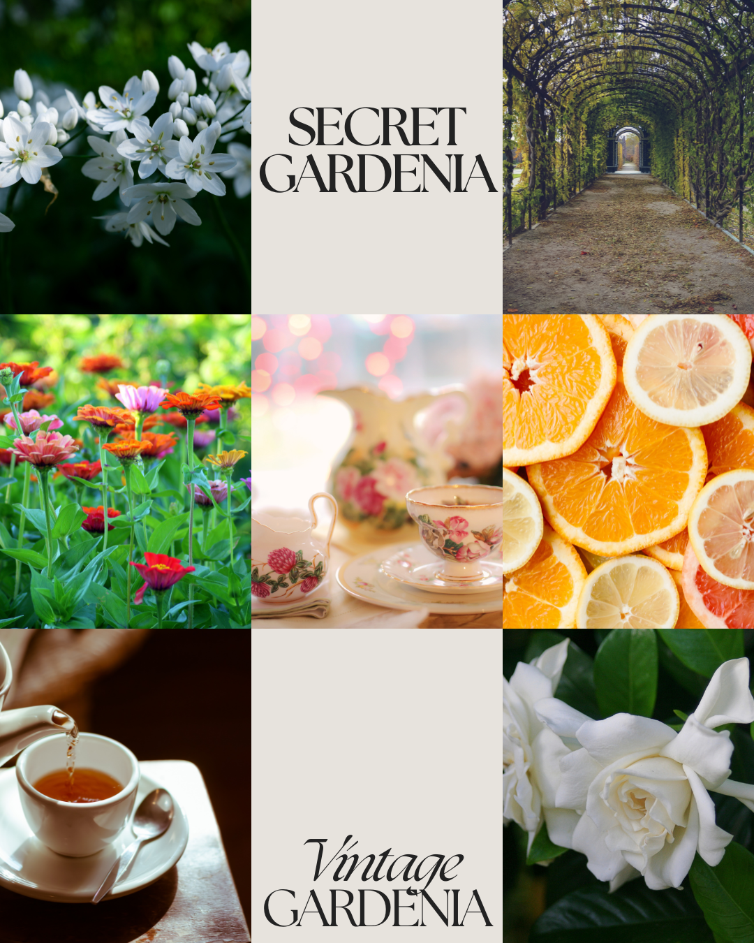 Secret Gardenia Car Air Freshener