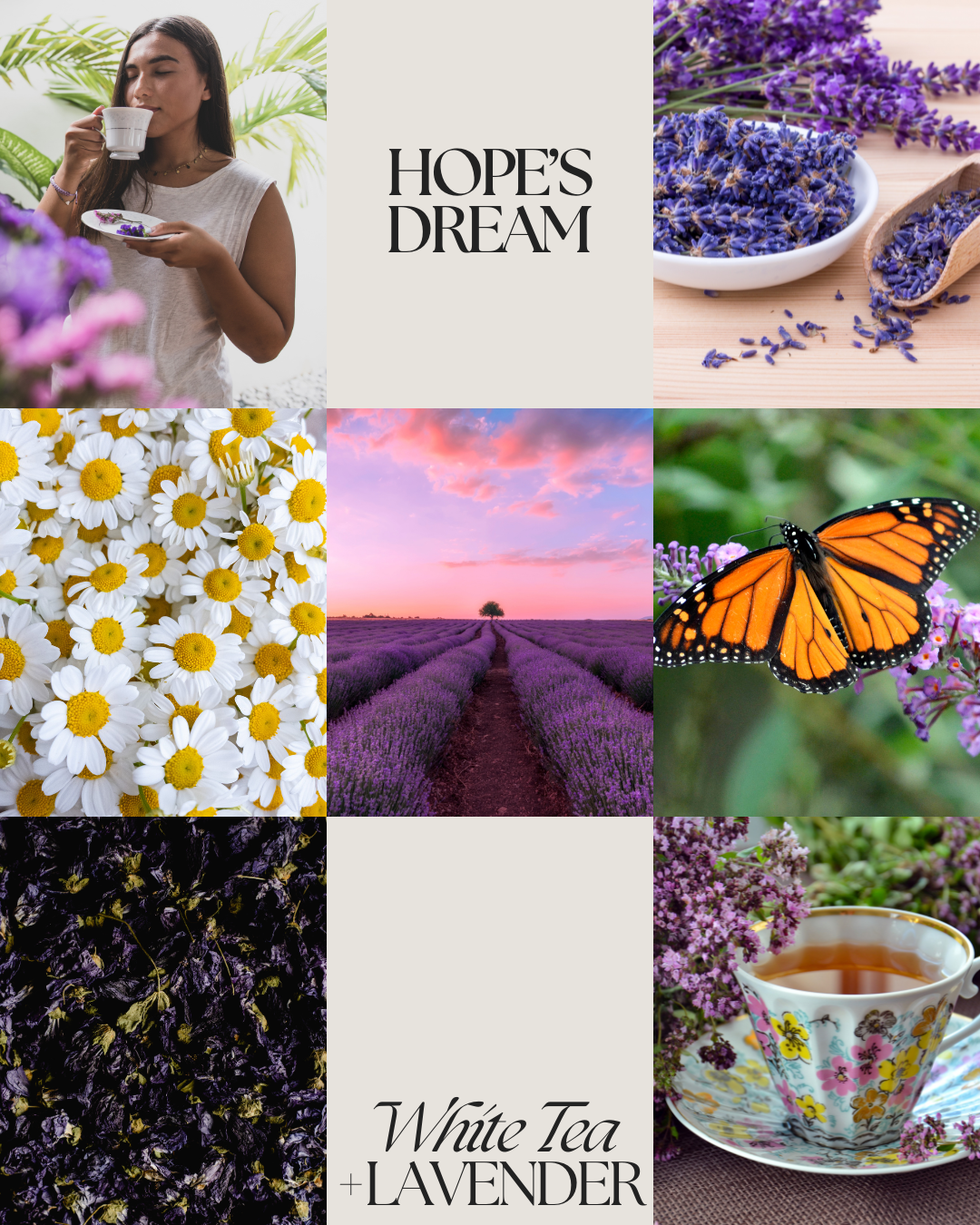Hope's Dream Butterfly Wax Melts 85g