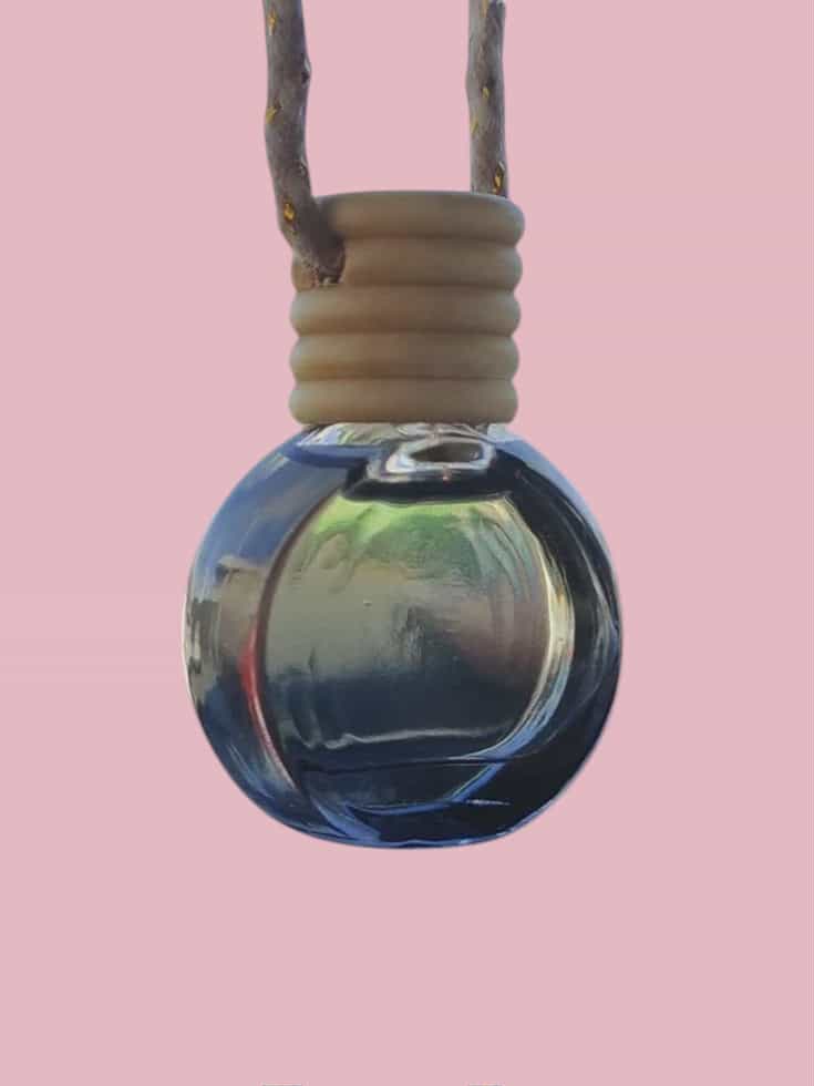 Sakura Petals Car Diffuser